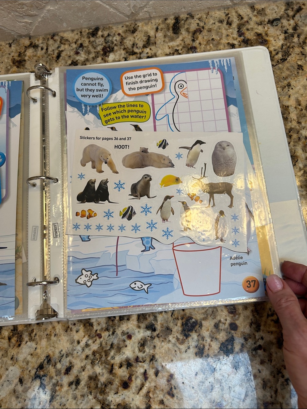 National Geographic Sticker Book - Picture 11 of 16